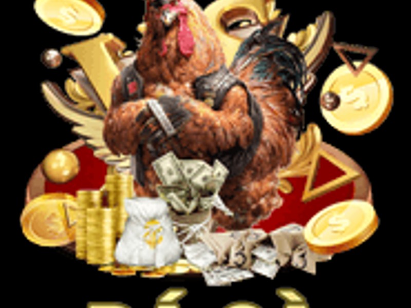 Đá gà cựa sắt và cựa dao